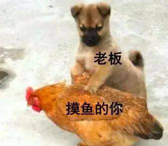 81864ecb92e7441fa6c769e22ced1dfb.jpeg