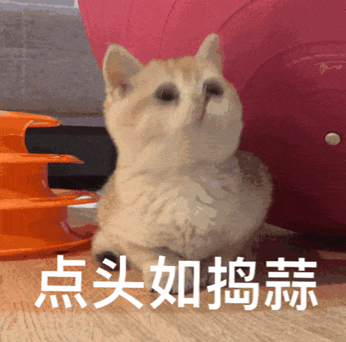 人体|二十多岁的你，皮肤是否暗沉松弛得像50岁？