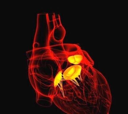 什么|心脏彩超提示二尖瓣，三尖瓣轻度返流是什么意思？该怎么办？