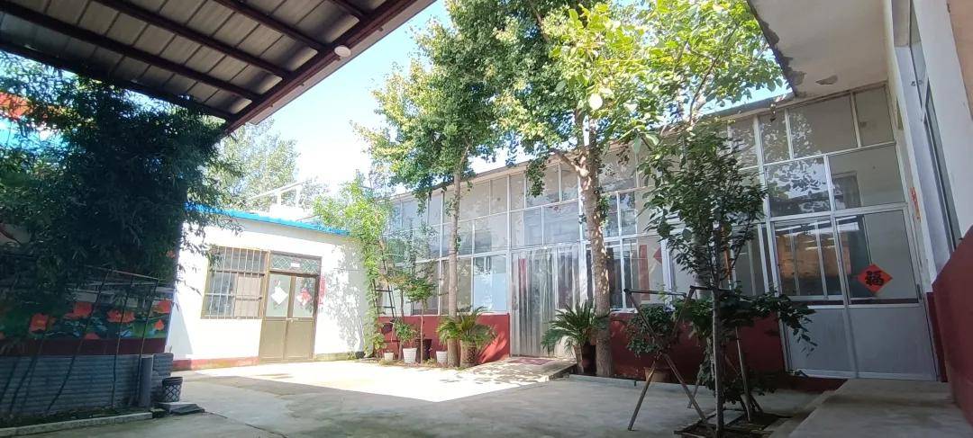 山东莘县河店镇 建设美丽庭院 助力乡村振兴