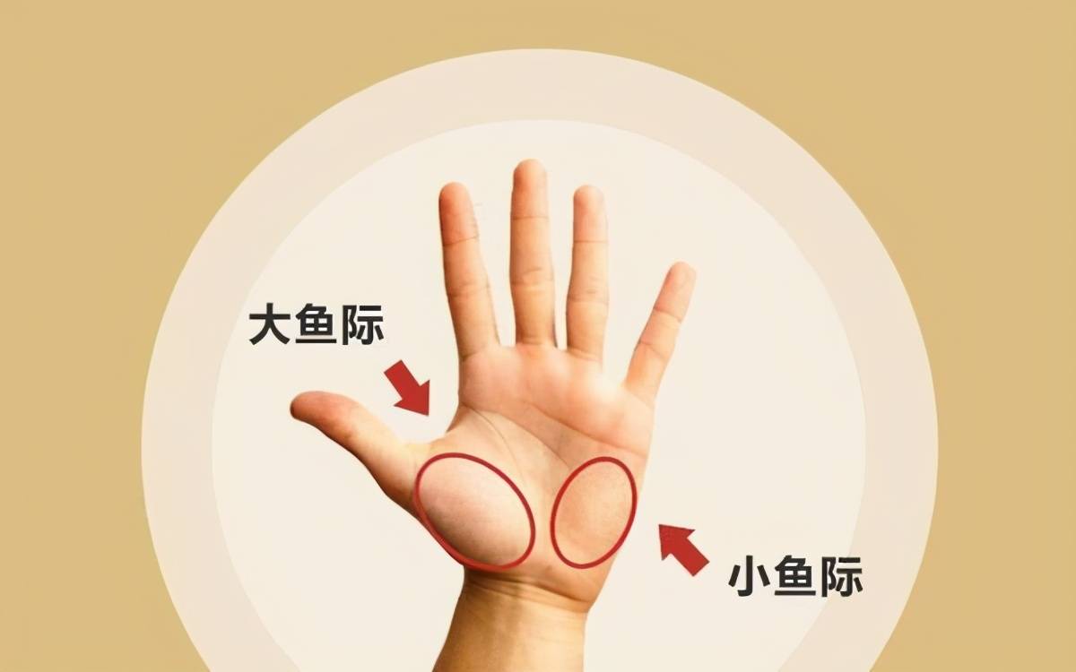 进行|肝脏求救信号之“手掌篇”,肝掌是什么?并发症有哪些?