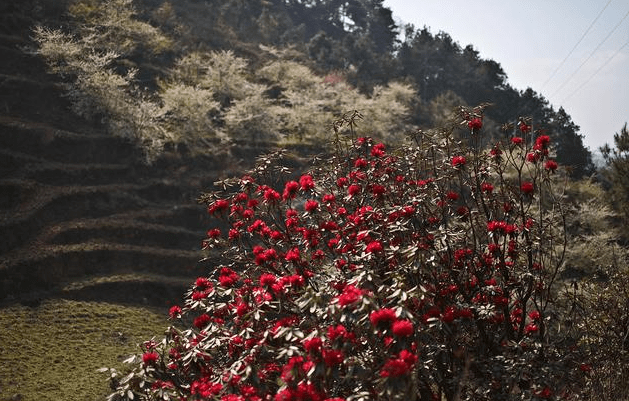 奈元|這世上，有一種距離，無法逾越