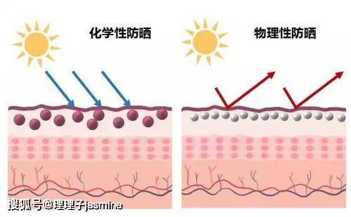 什么|干皮、油皮、敏感肌怎么选防晒霜？四大防晒知识，防晒小白必看！