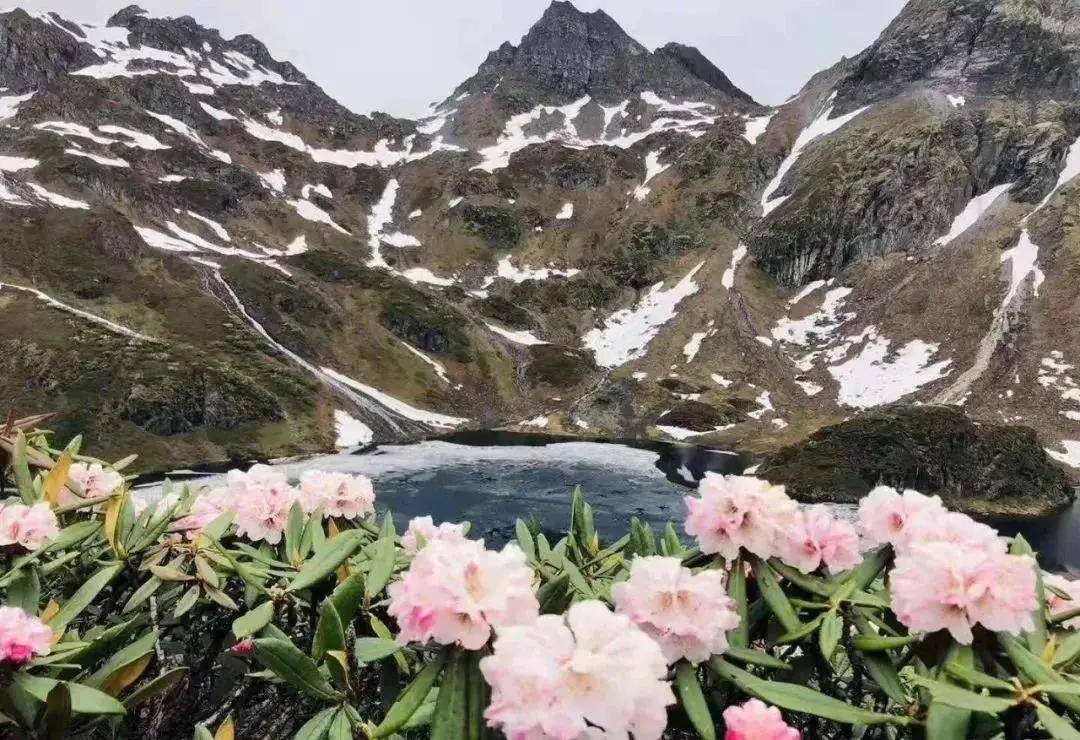 雪後花開的人間天堂雲南把香格里拉推向世界南極洛留給了自己