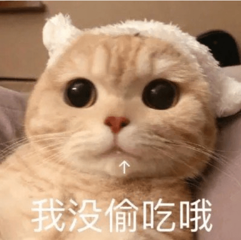 89703fa132e84cf5903b0e265ed303d4.png