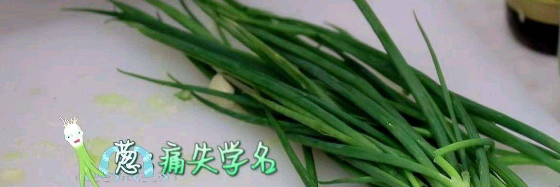 龚俊|《中餐厅5》首播：龚俊把丁真当好兄弟，黄晓明做菜被嫌弃