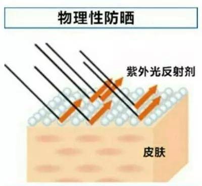 知识科普|美容护肤 | 隔离和防晒，到底谁先谁后？