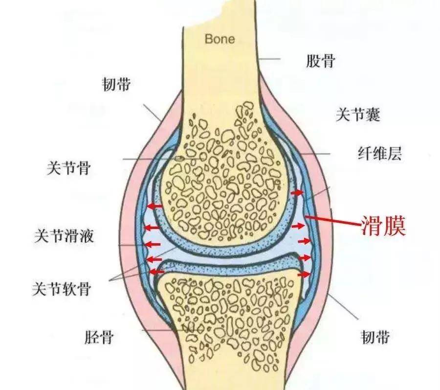 滑膜炎的诊治与预防