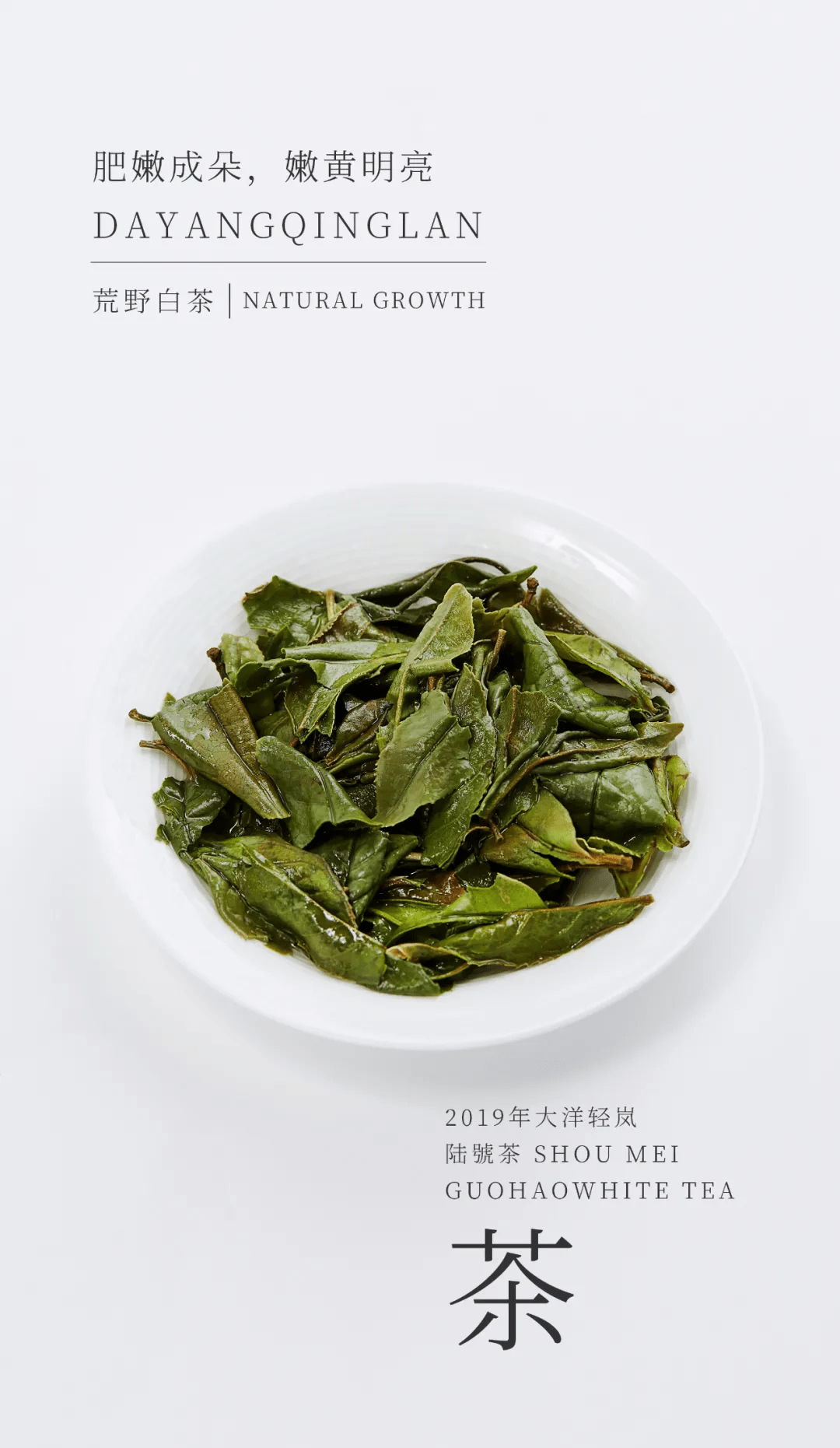 国号|中秋福利:大洋轻岚超值大礼盒