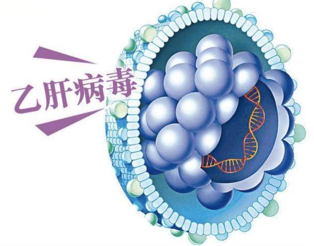 生活|乙肝“年度10大热点问题”出炉,都是你最关心的问题