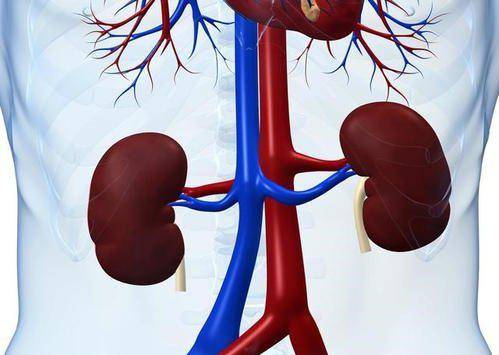 肝脏|它是肝病的“催化剂”!与酒精无关,这个坏习惯,很多人都改不掉