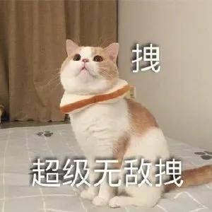帕丽斯·希尔顿|她好做作啊