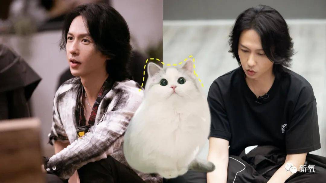 长发|第一次见张柏芝对男人如此把持不住，滚圈冻龄男我好想拥有...