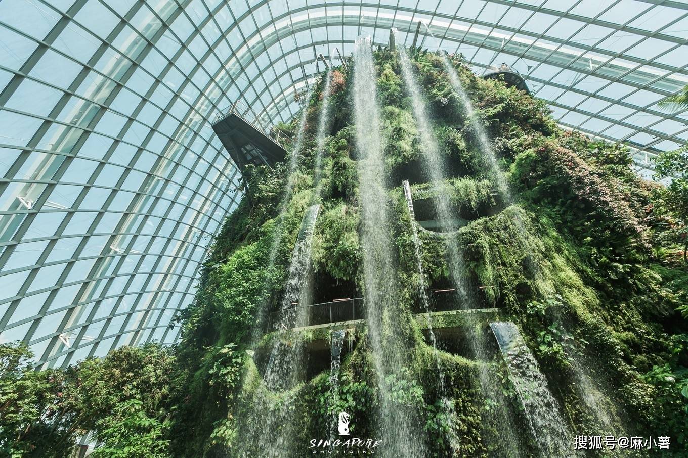 新加坡有座网红植物园，室内瀑布世界最高，全年25度是避暑好去处