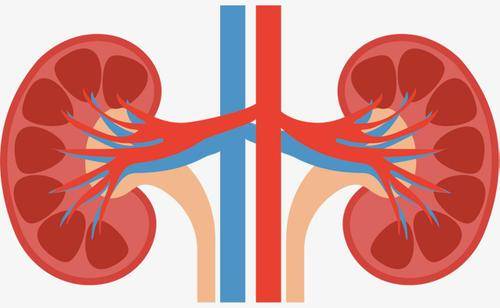 肝脏|它是肝病的“催化剂”!与酒精无关,这个坏习惯,很多人都改不掉