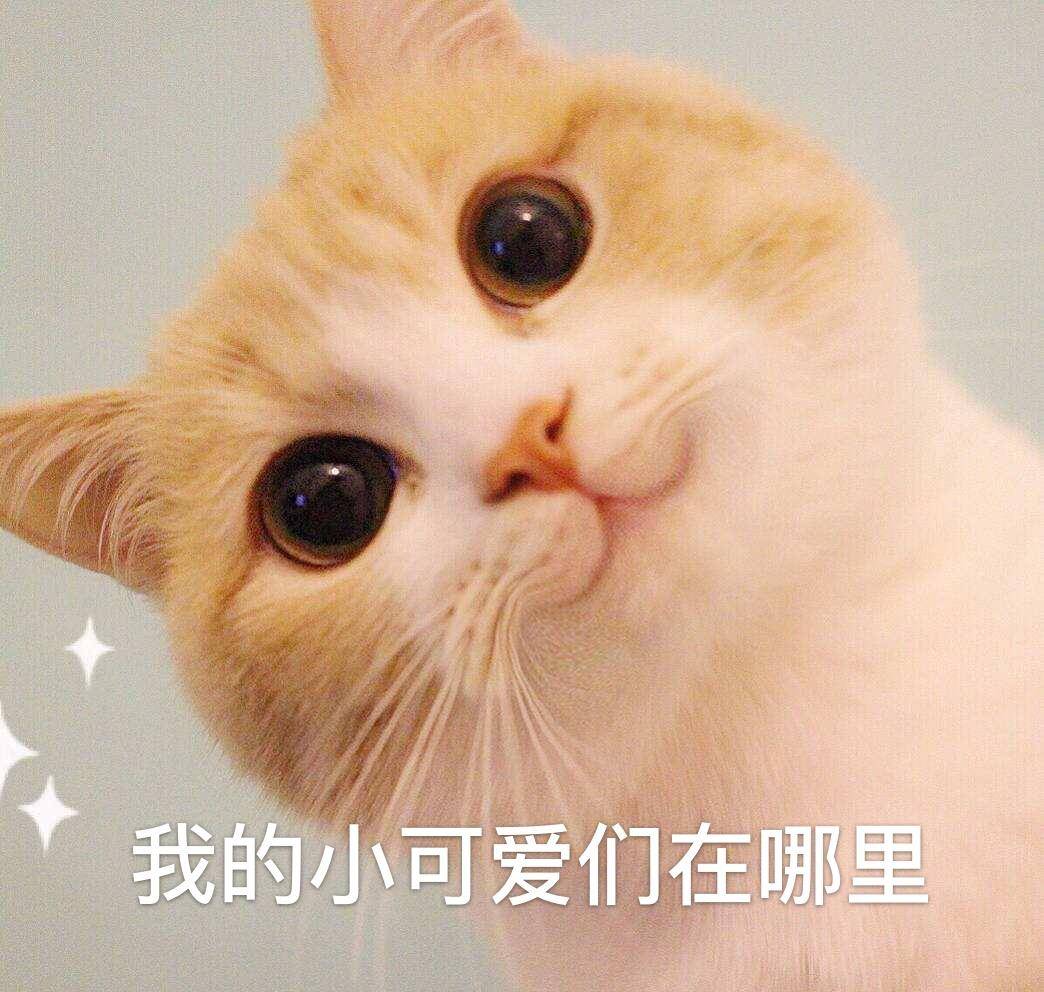 气息|永不过时的初秋搭配，袁泉穿极简色小香风连衣裙，气质绝佳，美