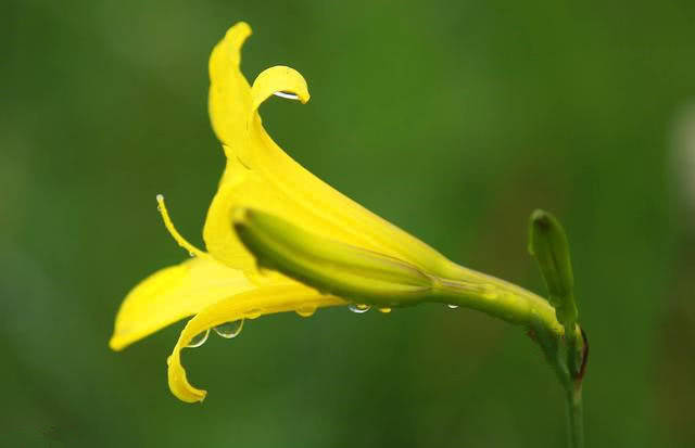 今天8月28日生肖运势 生活