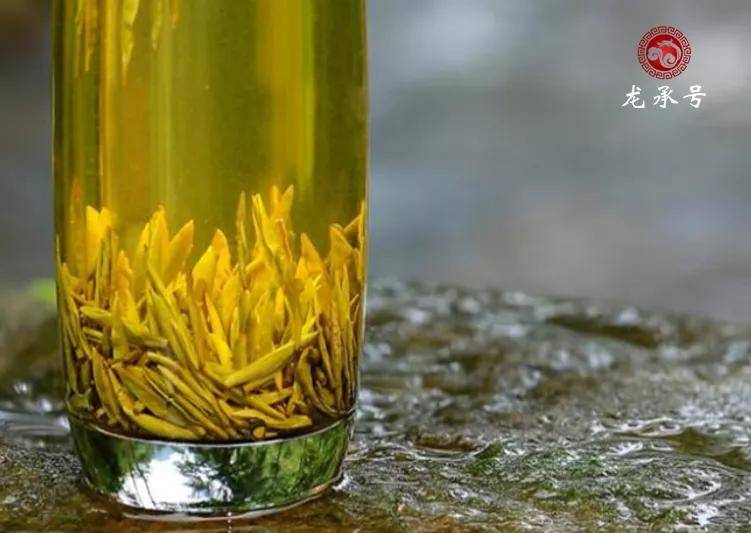 六大|爱喝茶的人都在收藏这张表！看体质喝茶你会吗？