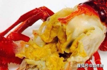 龙虾吃什么东西才能活 0b5bba483d9d441c9b98769b203c9934.jpeg