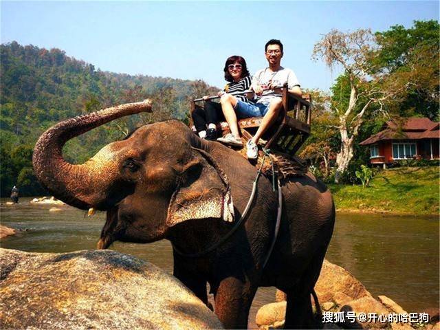 幼象随妈妈在泰国景点驮客时，疲惫不堪倒地，骑象游客却在玩自拍