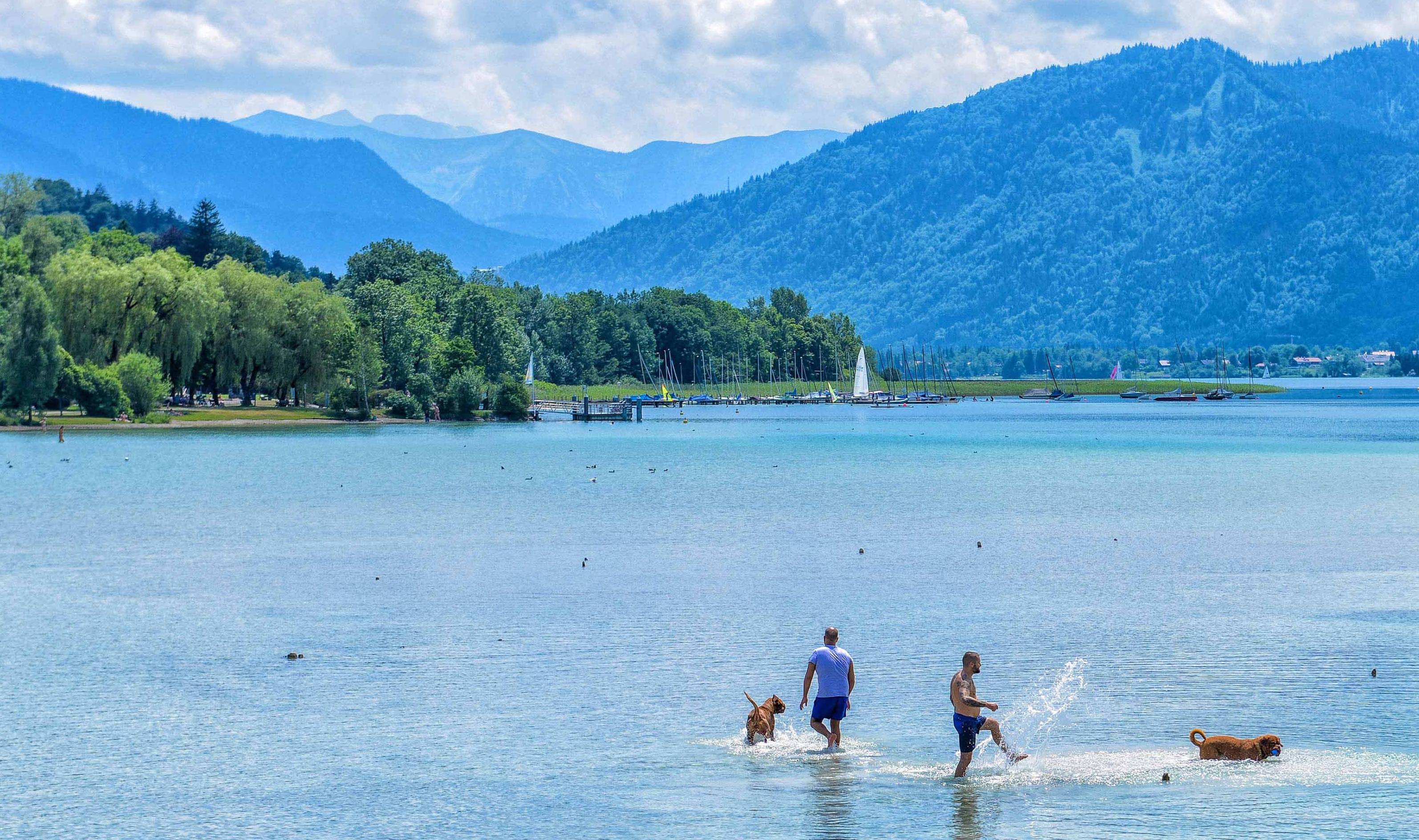 德国最洁净的湖泊，无数名人在此隐居疗养，青山绿水美如童话世界