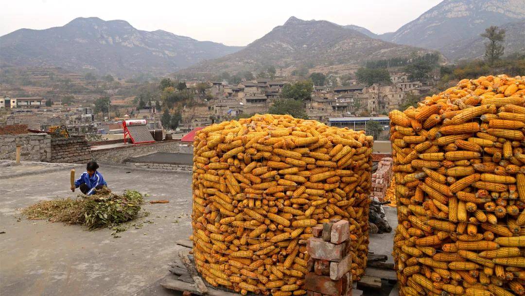 高低|梦里老家！井陉！ | 富达杯“每日一景·井陉美”