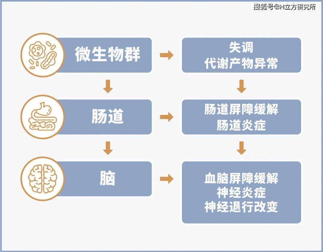 障碍|有关阿尔茨海默病，你需要知道的7件事