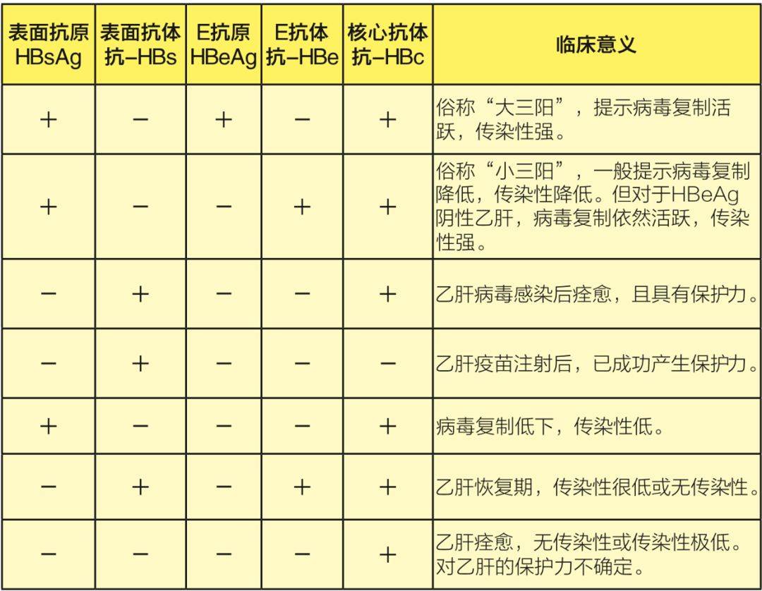 科普你会看自己检查的乙肝五项检测结果吗