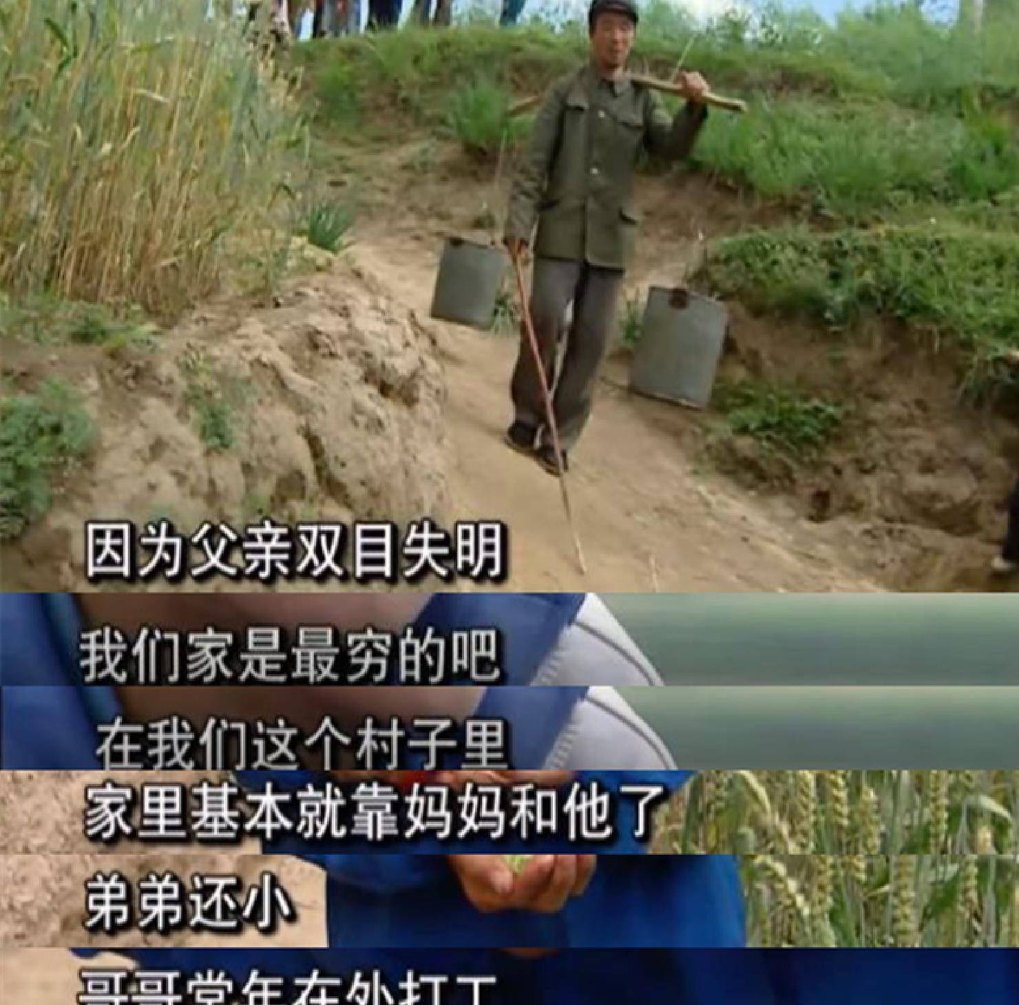 清醒|麦子熟了，我要回家：那个《变形计》中最清醒的农村娃，逆袭了