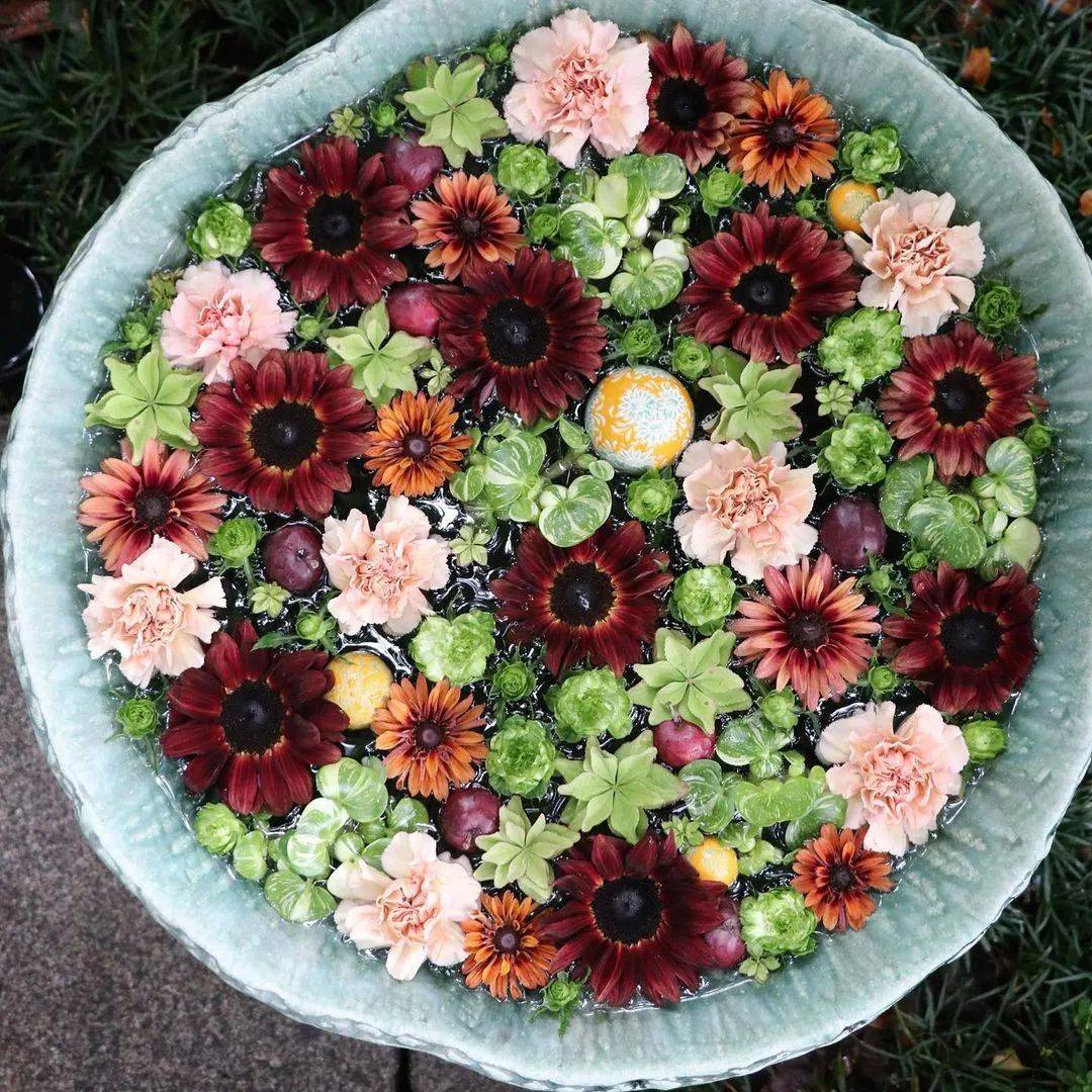 为神社布置的温柔水中花 来自一家蓝色集装箱花店 埼玉县