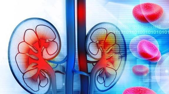 肾脏|这4条治肾常识,肾友越早知道越好,更有利于避免尿毒症