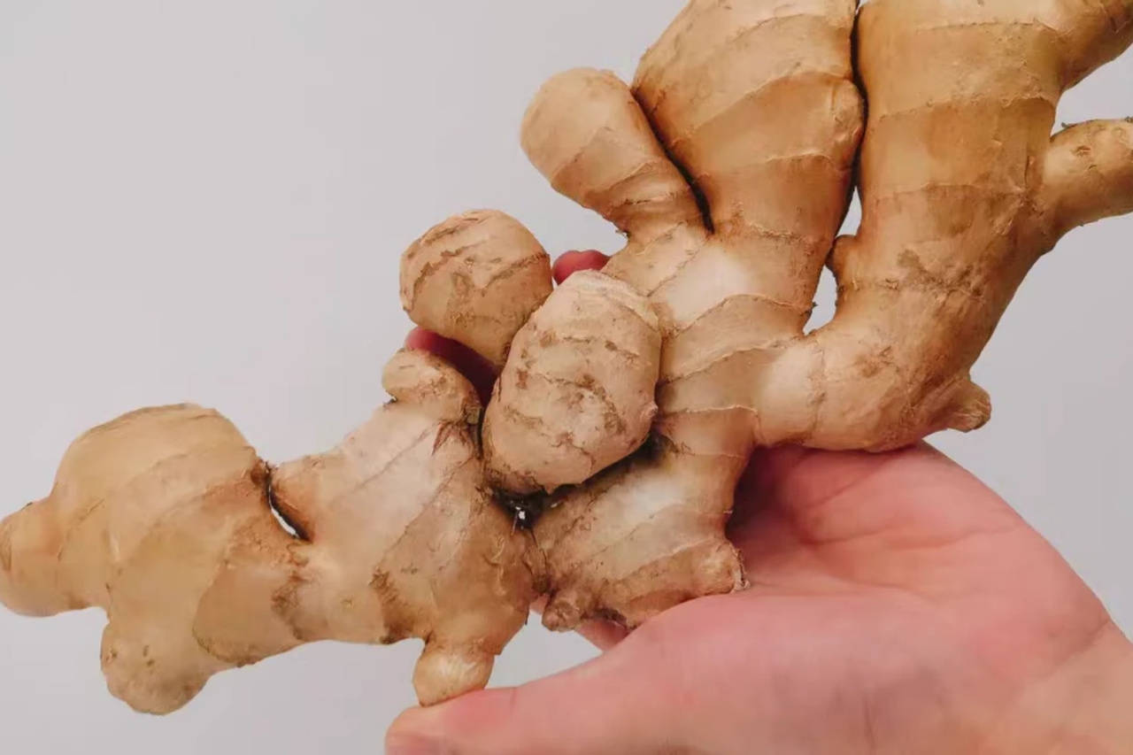 生姜太多不好保存 教你2个储存妙招 生姜不干不长霉 依旧新鲜 情况