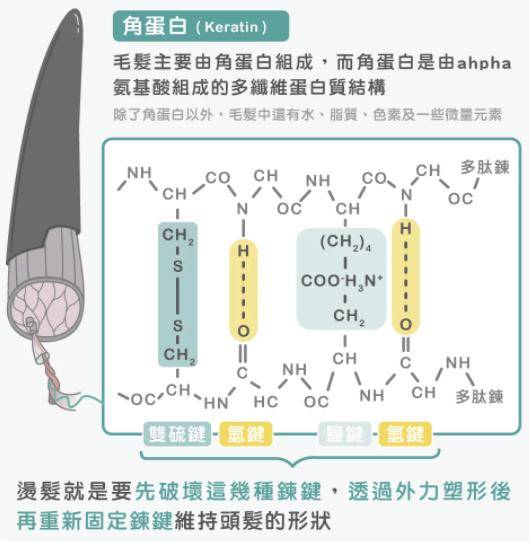 卷发|别人烫发是女神，我烫完是步惊云，烫发是如何改变头发形状的？