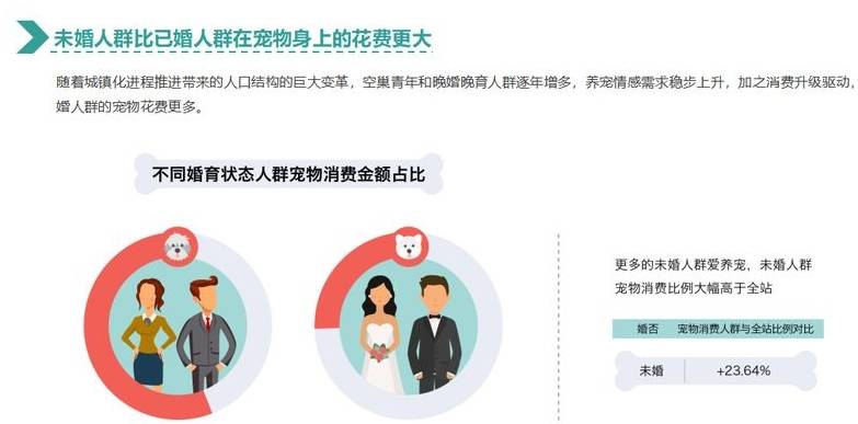 人群|猫奴VS狗奴 哈士奇&加菲猫 养宠消费新趋势了解一下!