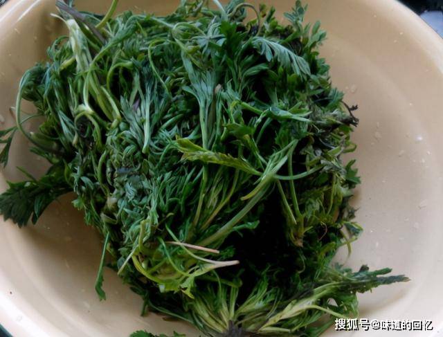 煎饼|全身都是宝的菜，可惜很多人当草，我家隔三差五吃，做早餐特好