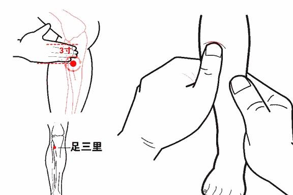养护|末伏过后，调养脾胃，少碰三物，谨记五句话，为秋冬进补打好基础