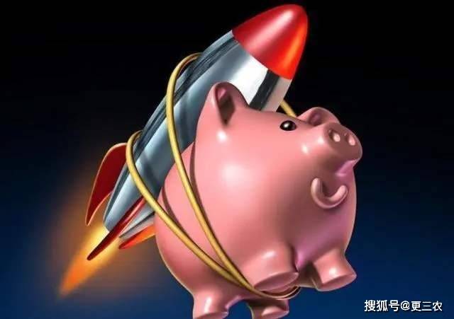 山东地区|预警升级！玉米坍塌下跌，猪价上涨突变，9月行情遇冷，还要跌？