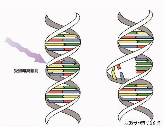 原創種子送上太空放上一段時間回到地球種下去會有什麼變化