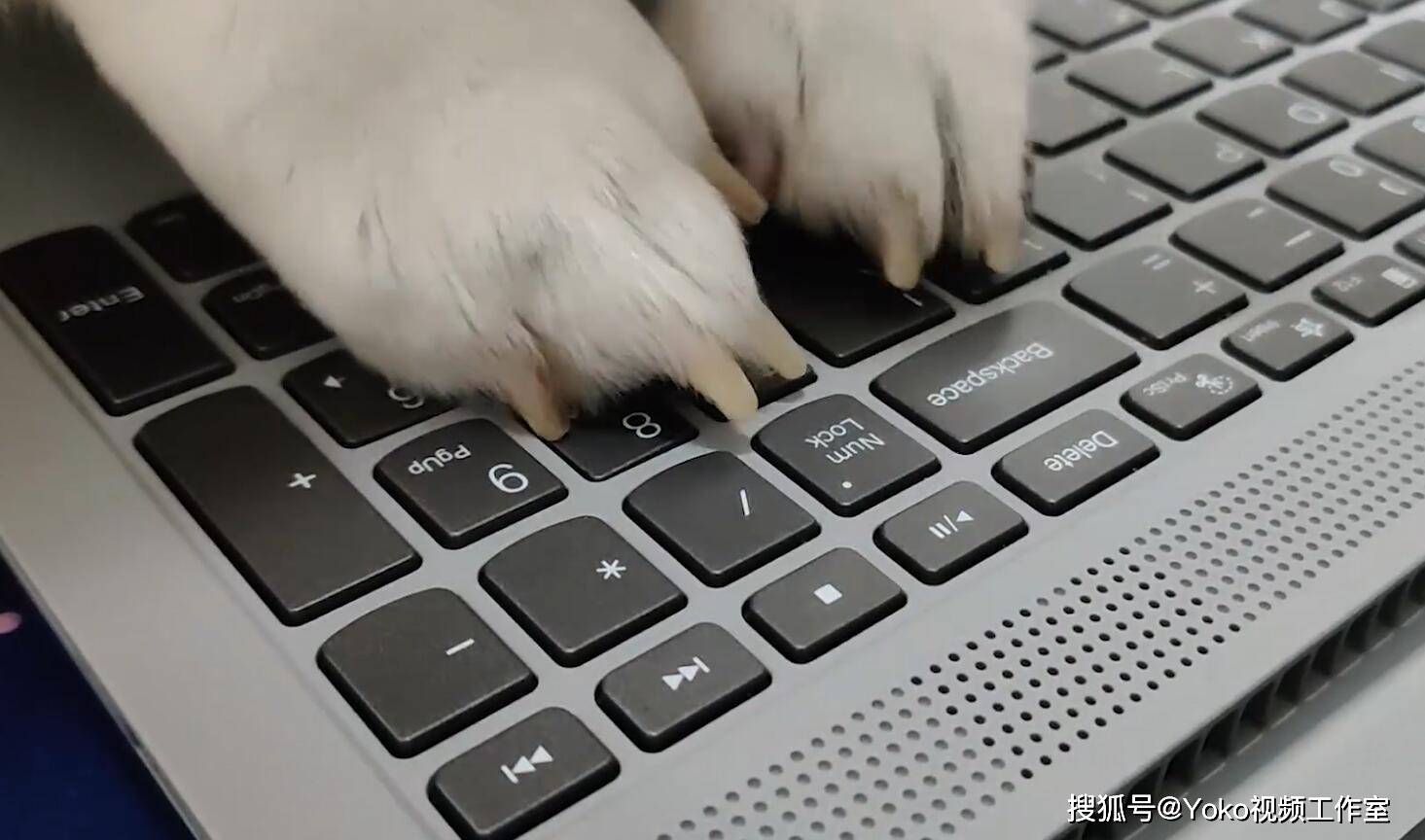 ������up������������������!