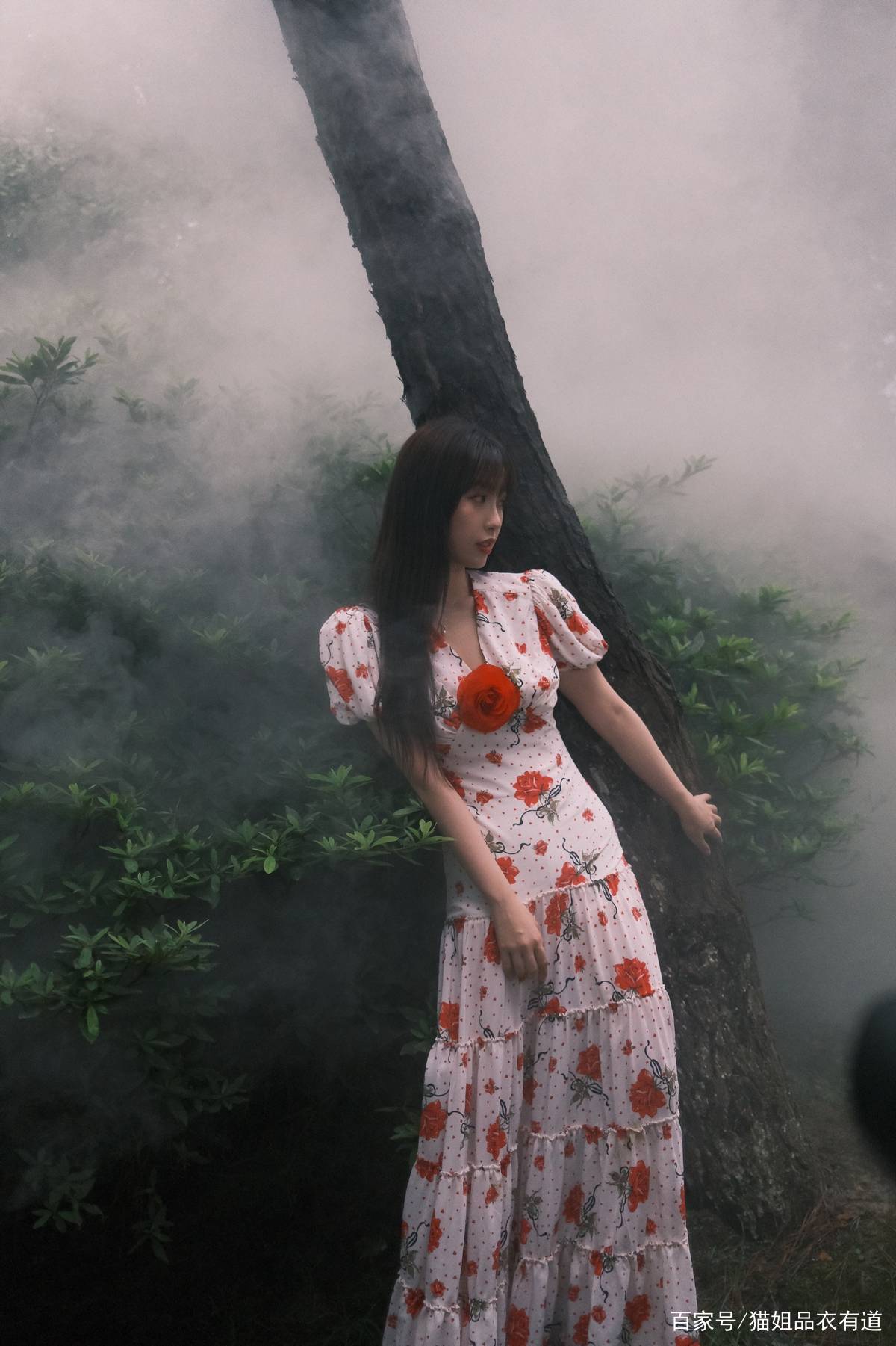 真会|虞书欣太淘气了，穿碎花裙领口还要插一朵玫瑰，真会赶时髦