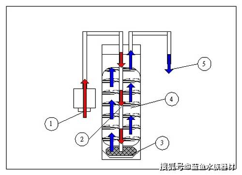 常見魚缸過濾方式原理以及使用方法