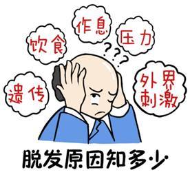 52871fc511e9427b8b41496cbddf6d27.jpeg