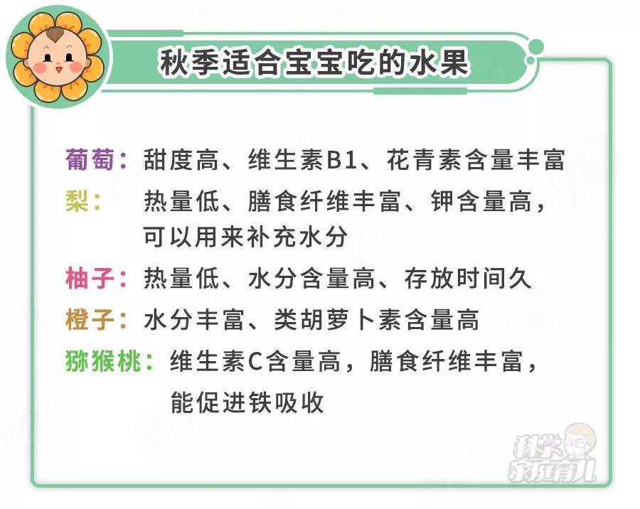 育儿|娃想吃零食，别急着说“不”！这7种零食，专家都建议吃！