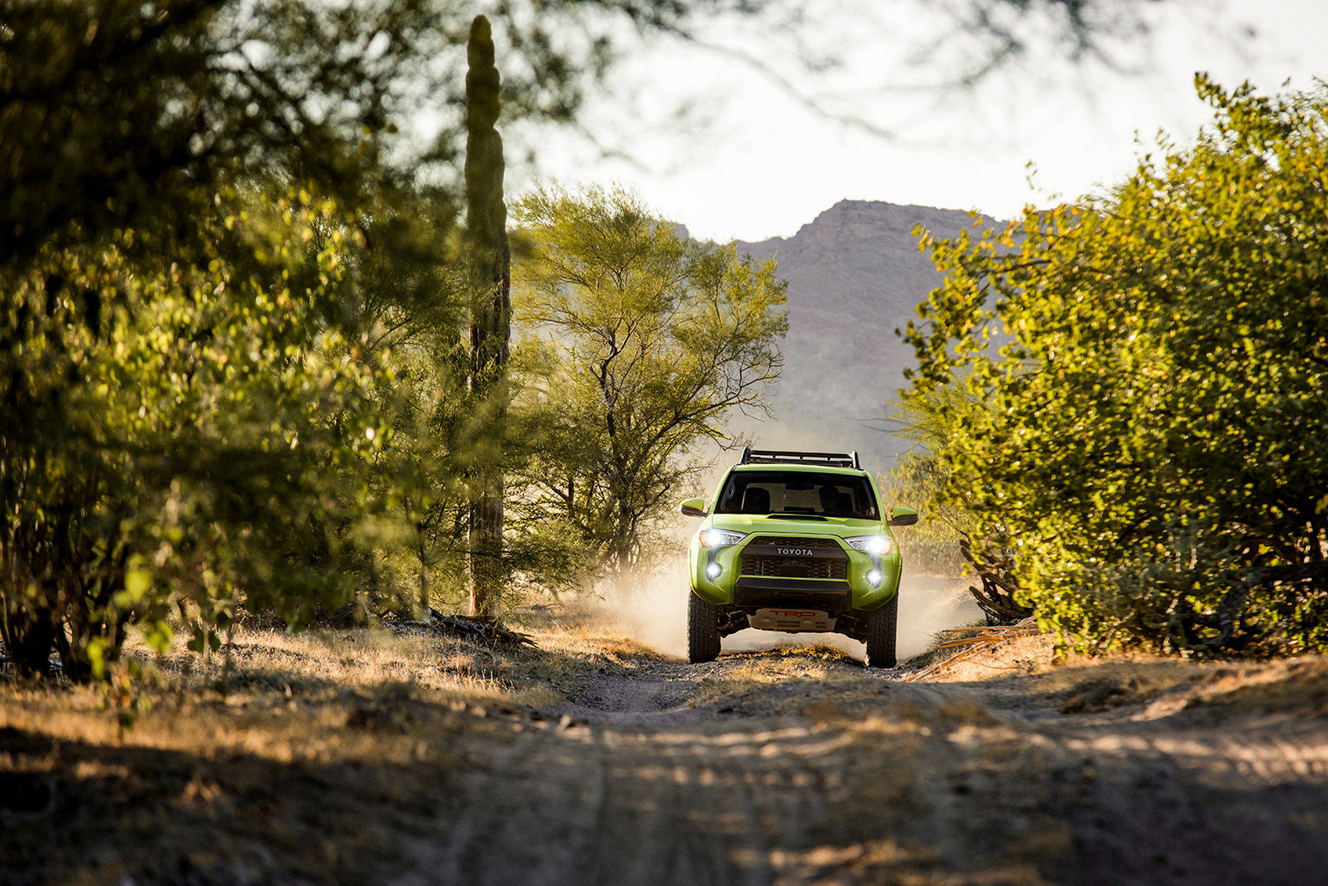 40升v6引擎普拉多姊妹车型2022款丰田4runnertrdsport推出能引进吗