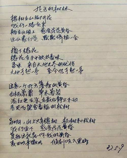 30年后看海子