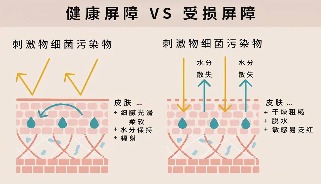 因为|如何修复敏感肌？教你一个不花钱的方法，最快一个月修复肌肤屏障！