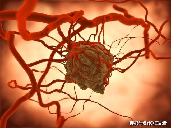 梦境迷踪，解读梦见蛇在身上爬的深层含义与心理暗示