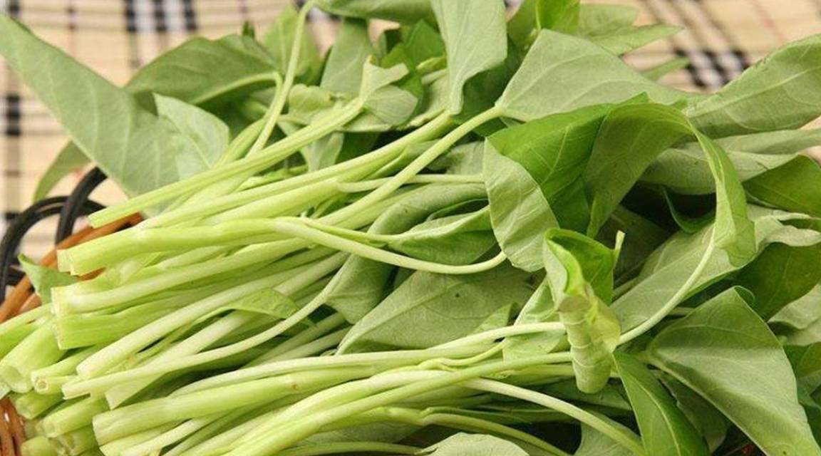 的作用|食物胰岛素，糖尿病的“敌人”，经常吃一点，帮你赶走糖尿病