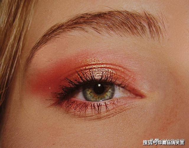 毛囊|头发不剪就会越来越长，为何只有人类需要剪发，其它动物都不用？