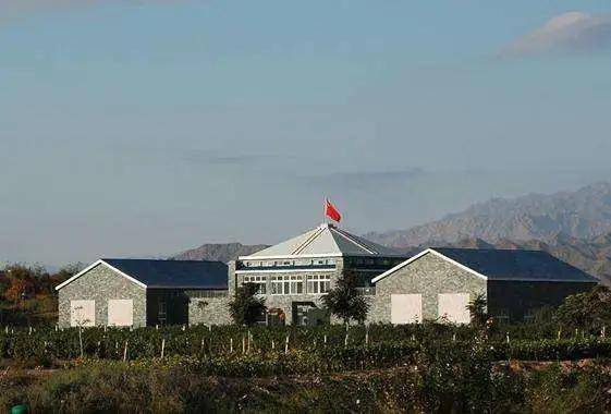 Travel|九月正是葡萄成熟季，来赴一场酒庄之旅！